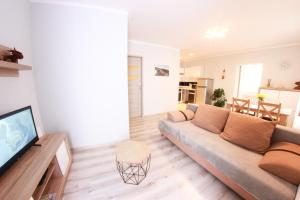 salon z kanapą i telewizorem z płaskim ekranem w obiekcie Apartamenty u Piątków w mieście Karpacz