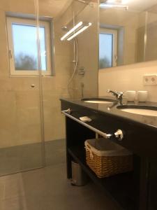 un bagno con lavandino e doccia con specchio di DAS Max a Dalaas Altre 37 foto