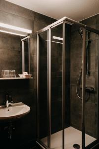 a bathroom with a shower and a sink at Badischer Hof in Tauberbischofsheim