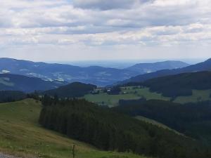 Příroda nedaleko apartmánu