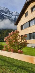 a house with a flowering bush in front of a mountain at Haus Feuerstein in Schnepfau