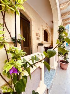a porch with plants and a bench in a building at Ta Paolo in Qala