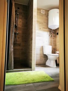 a bathroom with a shower with a toilet and a green rug at Ostoja Stacze in Stacze