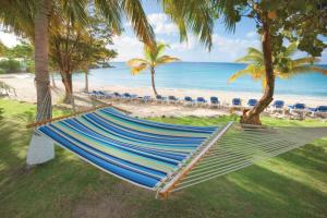 a hammock on a beach with the ocean at Limetree Beach Resort by Club Wyndham in Raphune