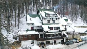 Crni VrhGuesthouse Babin Zub的相册照片