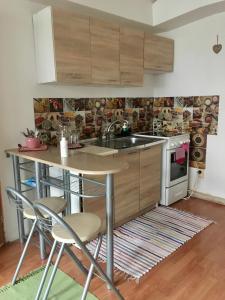 cocina con mesa, sillas y fregadero en Apartment Ela Centre, en Košice