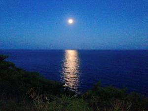 Gallery image of Ventnor Bay House in Ventnor