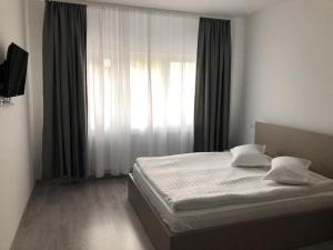 ein Schlafzimmer mit einem Bett und einem großen Fenster in der Unterkunft Elena-Maria Apartments in Buşteni