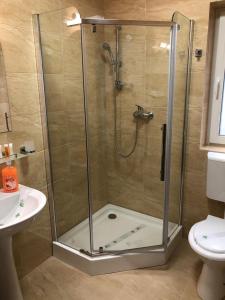 eine Dusche mit Glastür im Badezimmer in der Unterkunft Elena-Maria Apartments in Buşteni + 11 Fotos