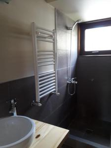 ein Bad mit einem Waschbecken und einem Fenster in der Unterkunft MONOAMBIENTE in San Martín de los Andes
