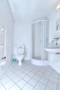 a bathroom with a shower and a toilet and a sink at Hotel U Jezírka in Liberec