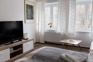 Televízia a/alebo spoločenská miestnosť v ubytovaní Apartament urokliwa Długa