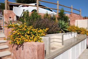 a bunch of flowers in pots on a ledge at Villetta Cinzia Vista Mare in Villaputzu