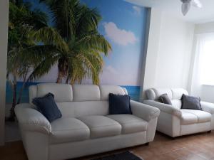 una sala de estar con un sofá blanco y una palmera en Excelente localização! Perto da praia com estacionamento, ar condicionado, wi-fi e Netflix!, en Balneário Camboriú