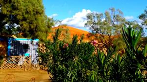 Blick auf einen Garten mit Bäumen und Blumen in der Unterkunft Auberge Camping Ocean des dunes in Merzouga
