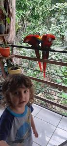 a little girl standing in front of a red bird at Hotel Cafe Del Mar, En Valle Pura Vida in Manuel Antonio