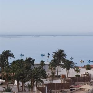 a view of a beach with palm trees and boats at Sweet Home Flat 1 in Hurghada