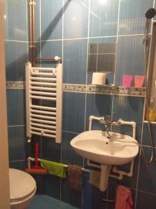 een badkamer met een wastafel en een toilet bij Kuća za odmor Sofija in Divčibare +16 foto's