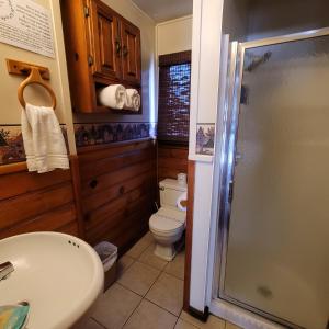 a bathroom with a toilet and a sink and a shower at Grey Squirrel Resort in Big Bear Lake