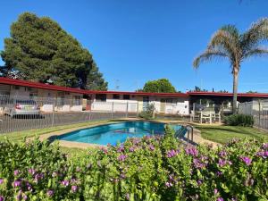 a building with a swimming pool and flowers at Apollo Motel Parkes in Parkes