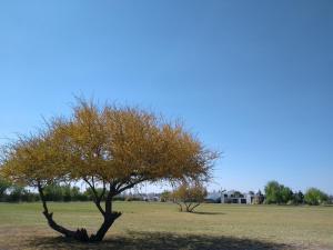Gallery image of Cabañas Plaza Norte in San Martín
