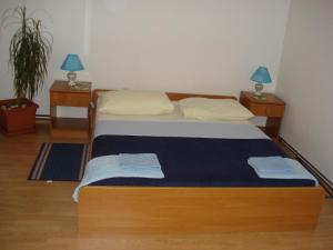 Apartment Goran tesisinde bir odada yatak veya yataklar