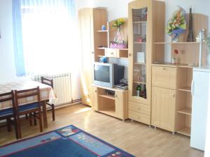 TV a/nebo společenská místnost v ubytování Apartment Goran