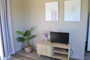 una TV su un supporto in un soggiorno con una pianta di Rio Rita Ocean View Apartments a Batemans Bay