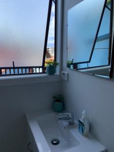een badkamer met een wastafel en een raam met planten bij The Villa in Picton