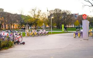 Radfahren an der Unterkunft Bright Suite Universitaet Wien oder in der Nähe