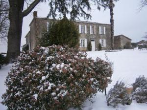 un grand bush recouvert de neige devant un bâtiment dans l'établissement Chambres d'Hôtes Domaine du Bouchon, à Gans