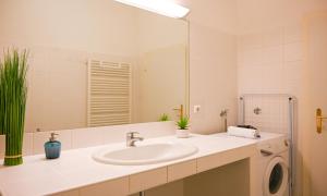 een badkamer met een wastafel en een spiegel bij Highlight Suite Universitaet Wien in Wenen