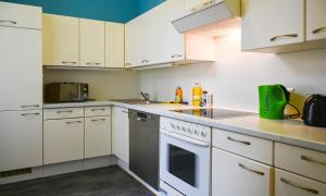Una cocina o kitchenette en Highlight Suite Universitaet Wien