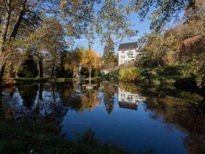 - une vue sur une rivière avec une maison en arrière-plan dans l'établissement Appartements Maison Bellevue, à Munster