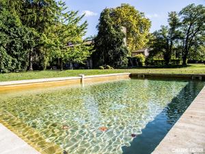 una gran piscina de agua en un patio en Chambres d'Hôtes Château Beaupré, en Saint-Laurent-des-Arbres