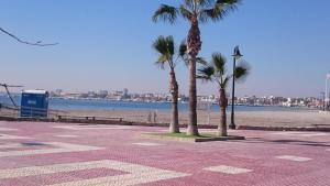 rząd palm na chodniku obok plaży w obiekcie el molino de viento flat w mieście San Pedro del Pinatar
