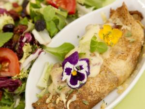 a white plate of food with a salad and a sandwich at Les Roses de Montherlant in Montherlant