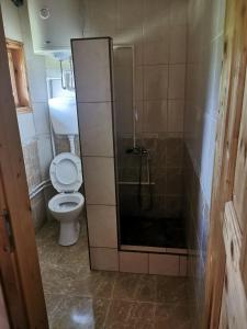 Koupelna v ubytování Vila Zboriste