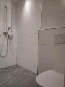 a white bathroom with a toilet and a shower at Apartment "SUN" in Friedrichshafen