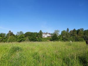 a field of tall grass with a house in the background at Hotel Kiekenstein in Stahle