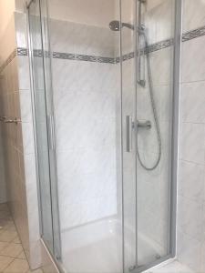 een douche met een glazen deur in de badkamer bij Familienfreundliches Apartment im Zentrum für Geschäftsreisen und privat in Dresden