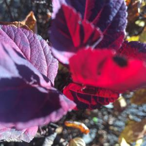 Fotografie z fotogalerie ubytování Arthome Småland v destinaci Ruda