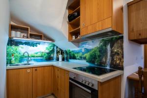 una cocina con un mural de cascada en la pared en Sunny apartment, en Moravske Toplice