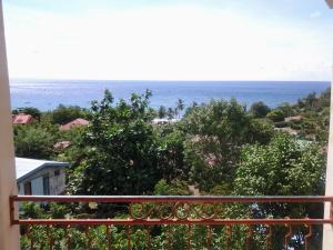 莱昂斯-达赫雷Appartement meublé vue/mer的海景阳台。