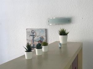 cuatro macetas sentadas sobre una mesa en Tobago202, en Puerto Rico de Gran Canaria 22 fotos más