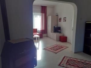 ein Wohnzimmer mit einem Sofa und einem TV in der Unterkunft Alex Apartments in Kruševo