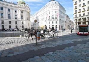 Zdjęcie z galerii obiektu Delightful Suite Hofburg w Wiedniu