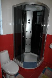 a bathroom with a shower with a toilet and a sink at Piramida Hotel in Samara