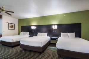 Postel nebo postele na pokoji v ubytování Clarion Inn & Suites Weatherford South