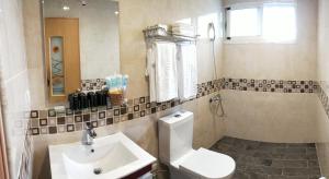 a bathroom with a toilet and a sink at ShiGuo Homestay in Xiulin